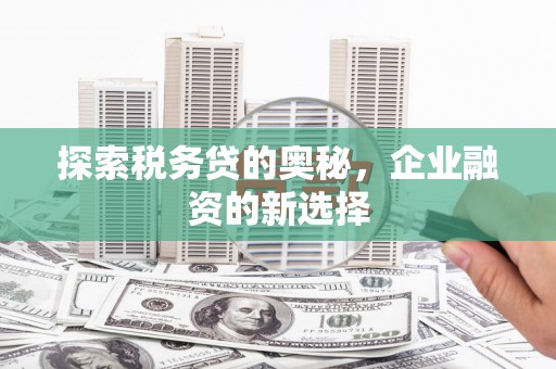 平舆探索税务贷的奥秘，企业融资的新选择