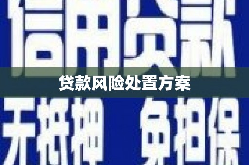 平舆贷款风险处置方案