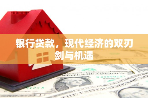 平舆银行贷款，现代经济的双刃剑与机遇