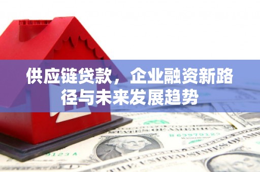 平舆供应链贷款，企业融资新路径与未来发展趋势