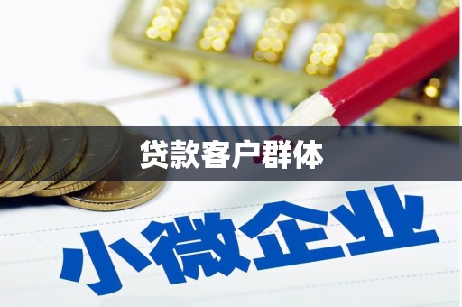 平舆贷款客户群体