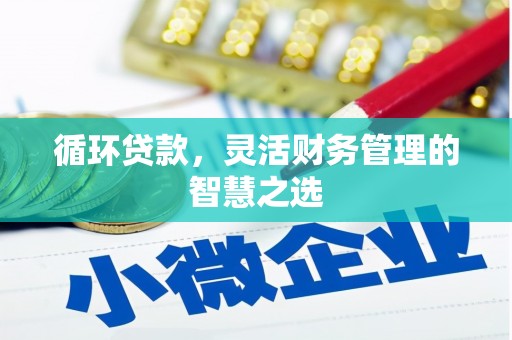 平舆循环贷款，灵活财务管理的智慧之选