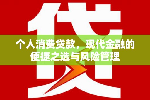 平舆个人消费贷款，现代金融的便捷之选与风险管理