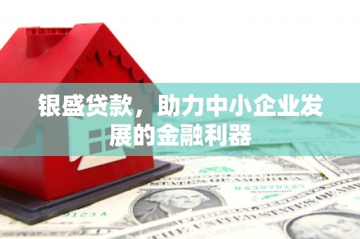 平舆银盛贷款，助力中小企业发展的金融利器