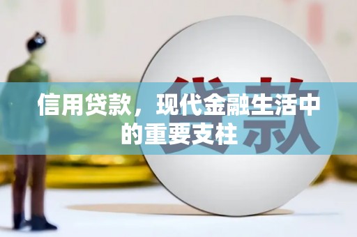平舆信用贷款，现代金融生活中的重要支柱