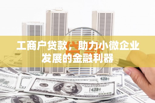 平舆工商户贷款，助力小微企业发展的金融利器