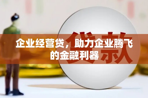 平舆企业经营贷，助力企业腾飞的金融利器