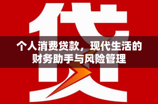 平舆个人消费贷款，现代生活的财务助手与风险管理