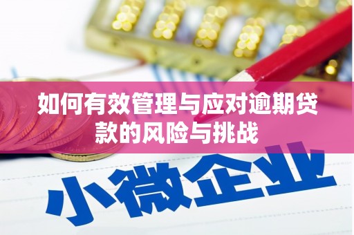 平舆如何有效管理与应对逾期贷款的风险与挑战