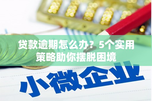 平舆贷款逾期怎么办？5个实用策略助你摆脱困境