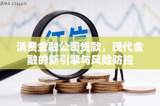 平舆消费金融公司贷款，现代金融的新引擎与风险防控