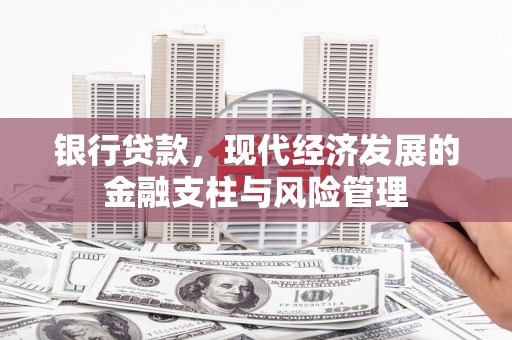 平舆银行贷款，现代经济发展的金融支柱与风险管理