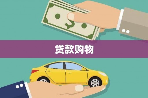 平舆贷款购物