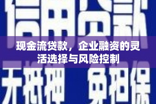 平舆现金流贷款，企业融资的灵活选择与风险控制