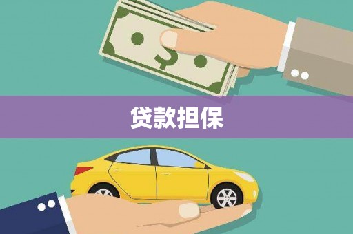 平舆贷款担保