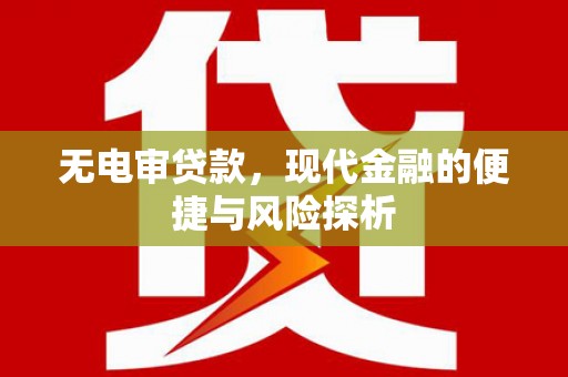 平舆无电审贷款，现代金融的便捷与风险探析