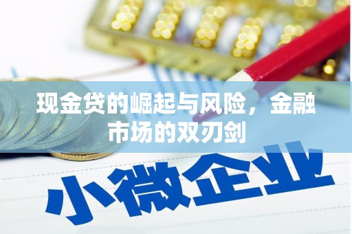 平舆现金贷的崛起与风险，金融市场的双刃剑