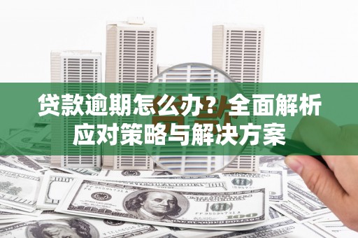 平舆贷款逾期怎么办？全面解析应对策略与解决方案