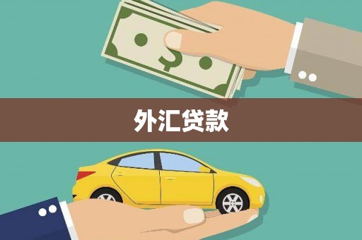 平舆外汇贷款