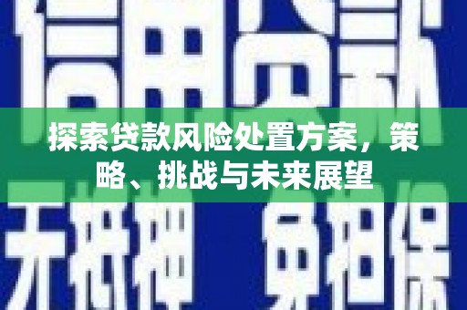 平舆探索贷款风险处置方案，策略、挑战与未来展望