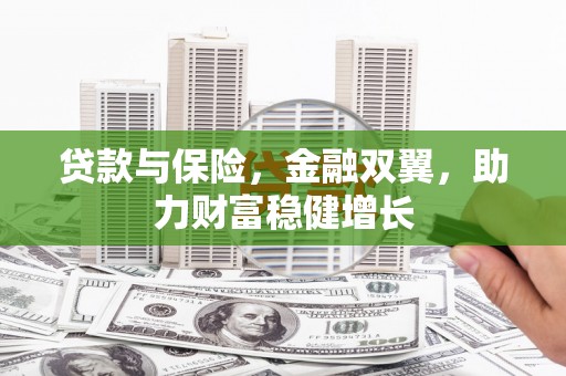 平舆贷款与保险，金融双翼，助力财富稳健增长