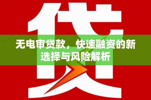 平舆无电审贷款，快速融资的新选择与风险解析