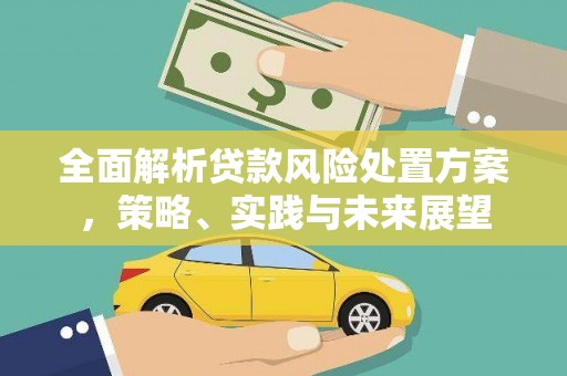 平舆全面解析贷款风险处置方案，策略、实践与未来展望