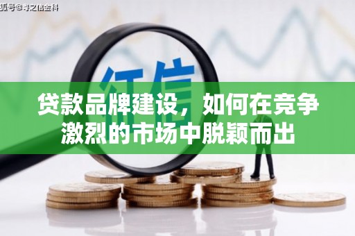 平舆贷款品牌建设，如何在竞争激烈的市场中脱颖而出