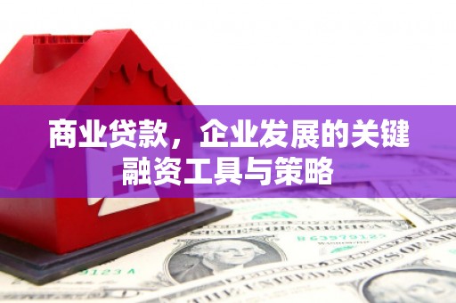 平舆商业贷款，企业发展的关键融资工具与策略
