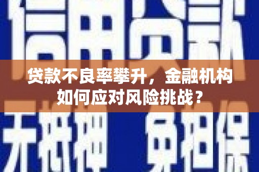 平舆贷款不良率攀升，金融机构如何应对风险挑战？