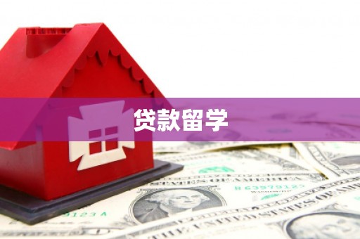 平舆贷款留学