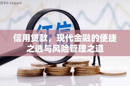 平舆信用贷款，现代金融的便捷之选与风险管理之道
