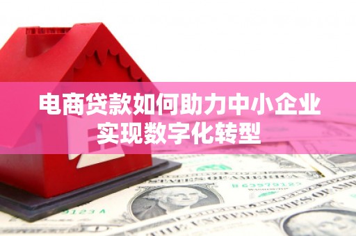 平舆电商贷款如何助力中小企业实现数字化转型