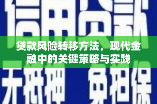 平舆贷款风险转移方法，现代金融中的关键策略与实践