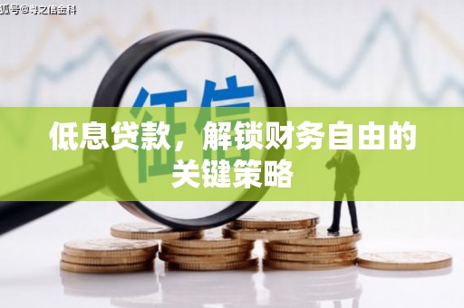 平舆低息贷款，解锁财务自由的关键策略