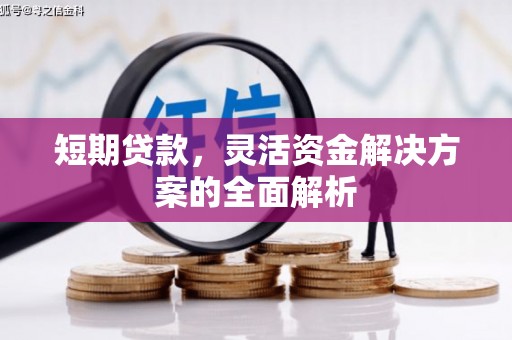 平舆短期贷款，灵活资金解决方案的全面解析