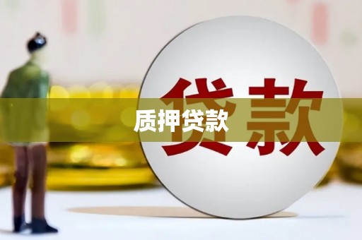 平舆质押贷款