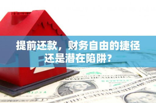 平舆提前还款，财务自由的捷径还是潜在陷阱？