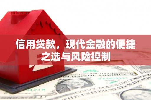平舆信用贷款，现代金融的便捷之选与风险控制