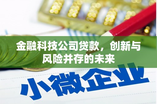平舆金融科技公司贷款，创新与风险并存的未来