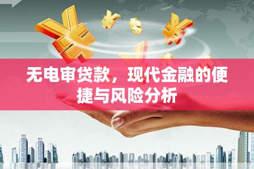 平舆无电审贷款，现代金融的便捷与风险分析