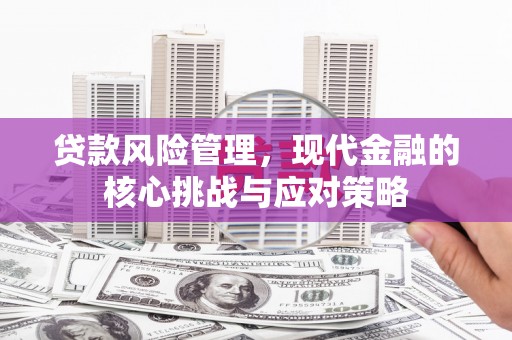 平舆贷款风险管理，现代金融的核心挑战与应对策略