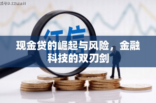 平舆现金贷的崛起与风险，金融科技的双刃剑