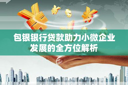 平舆包银银行贷款助力小微企业发展的全方位解析