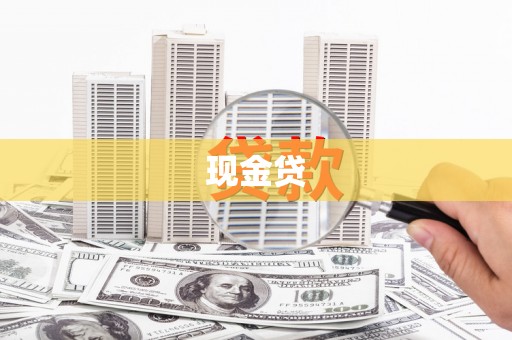 平舆现金贷