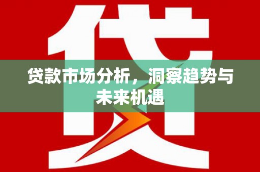 平舆贷款市场分析，洞察趋势与未来机遇