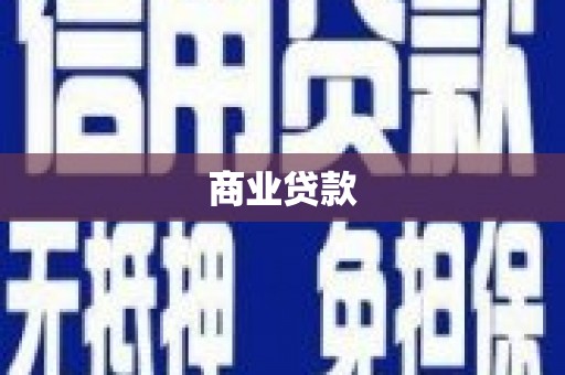 平舆商业贷款