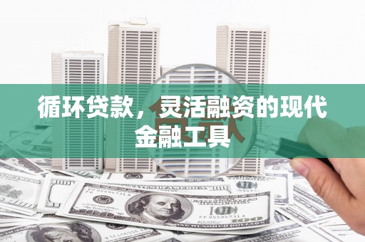 平舆循环贷款，灵活融资的现代金融工具