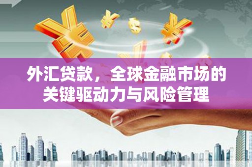 平舆外汇贷款，全球金融市场的关键驱动力与风险管理