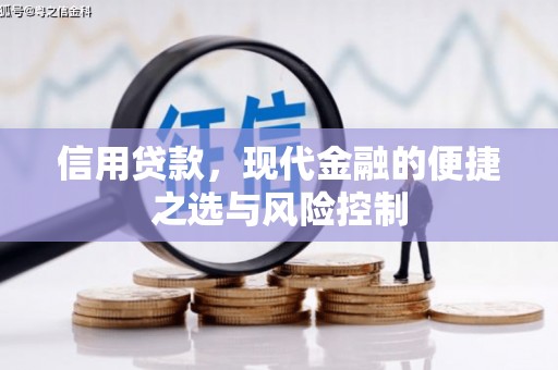 平舆信用贷款，现代金融的便捷之选与风险控制